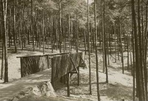 Dresden, Holzbrücke im Kurpark Weißer Hirsch