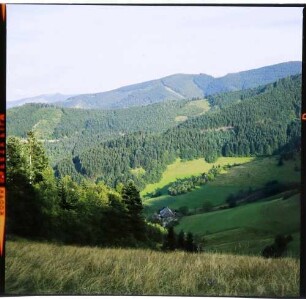 Neuenweg: Tal mit Blick gegen Heubronn
