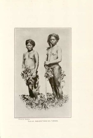 Plate LX. Mud-spattered soil turners