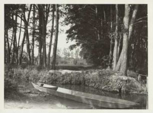 Mark Brandenburg. Ein Spreewaldkahn in einem Spreearm bei Groß Wasserburg
