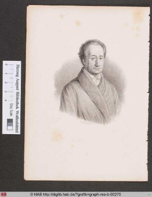 Porträt des Johann Wolfgang von Goethe