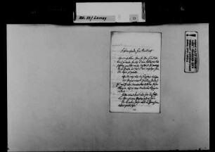 Schreiben von Christian Friedrich Wilhelm Roller, Illenau, an August Lamey: Fortbestand der Pforzheimer Pflegeanstalt.