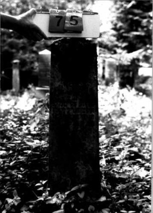 Grabstein 75 (Index: 100109327) Material: Sandstein oder Marmor (?), Sockel Kalkstein, eingelegte Bleibuchstaben Zustand: verwittert Maße HxBxT: 107x28x14 cm Beschreibung: Obelisk, Sockel Besonderheit: Nummer auf Rückseite: 156: Grabstein 75