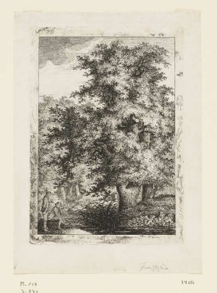 Waldteich