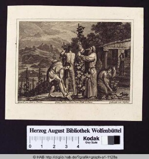 Noah baut Wein statt Roggen an