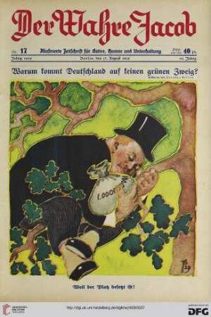 Nr. 17 (17. August 1929)