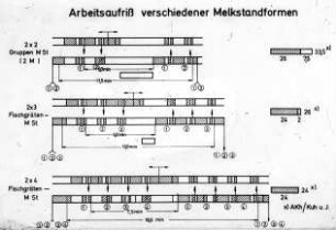 Arbeitsaufriß verschiedener Melkstandformen