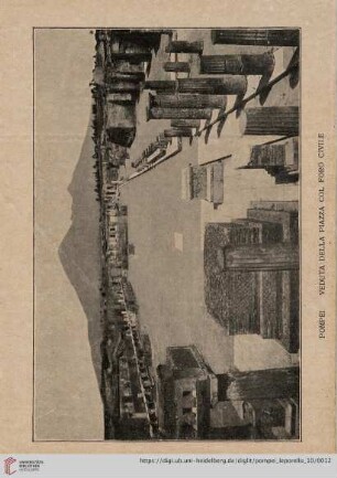 Pompei Veduta della Piazza col Foro Civile