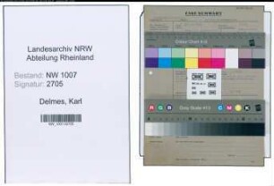 Entnazifizierung Karl Delmes , geb. 06.06.1905 (Polizeibeamter)