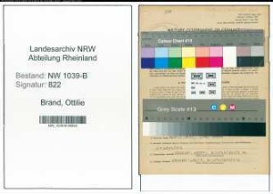 Entnazifizierung Ottilie Brand , geb. 20.10.1890 ()