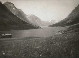 Kjosen-Fjord westlich Lyngseidet, östlich Tromsö bei Ebbe. Blick über eine blühende Wiese im August