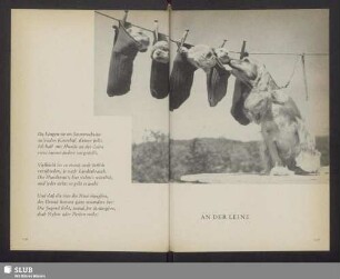 An der Leine