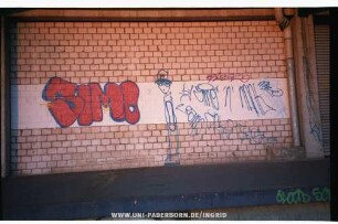 SIMO