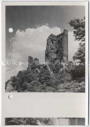 Drachenfels