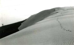 Sanddünen, Kurische Nehrung