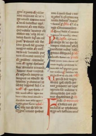 Dominica I post Epiphaniam - Dies cinerum