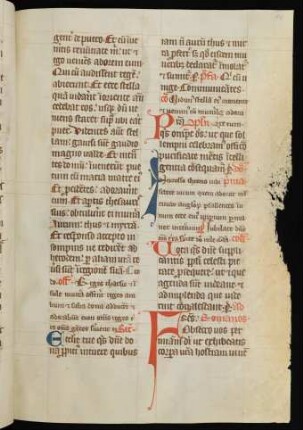 Dominica I post Epiphaniam - Dies cinerum