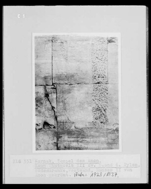 Ramses 2. von Amon gekrönt