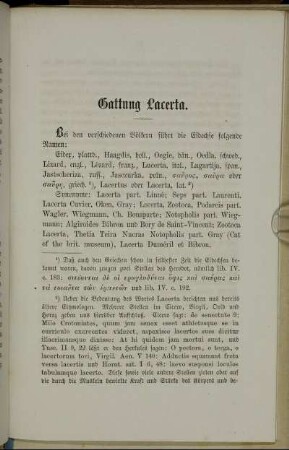Gattung Lacerta