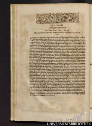 Das I. Capittel. Darinn von der Perspectiva/allen Superficien und Cörperen gehandlet wirdt.
