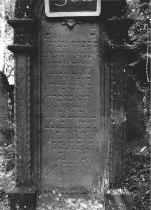 Grabstein 502 (Index: 99895529) Material: Sandstein Zustand: verwittert Maße HxBxT: 182x50x18 cm Beschreibung: ädikulaartige Stele mit Rundbogenabschluss und Pilastern; Sockel Symbolik: Weintrauben, Ranken, Blüte Steinmetz: Henfling i. Würz.: Grabstein 502 (2)