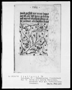 Deutsches Gebetbuch (Waldburg-Gebetbuch) — ---, Folio 19rectoTextblatt Bordüre