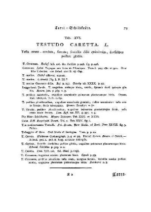 Tab. XVI. Testudo Caretta : Caret-Schildkröte