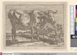 [Abgemagerte Kuh, im Hintergrund ein Dorf; The Cow With the Crumpled Horn]