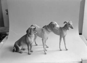 Stehender Hund