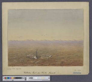 Westlicher Theil der Wüste "Namib"