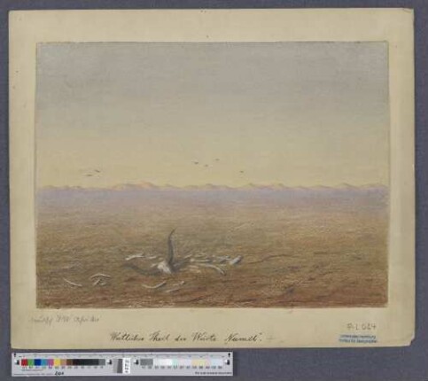 Westlicher Theil der Wüste "Namib"