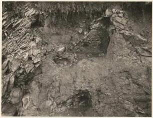 Sächsische Schweiz. Grenzzone zwischen Sandstein (links) und Basalt (rechts) am Großen Winterberg