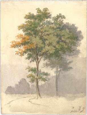 Neureuther, Lorenz; Landschaftskizzen - Bäume (Ansicht)
