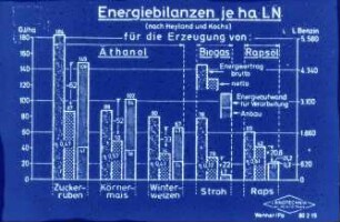 Energiebilanz je ha LN (nach Heylands und Kochs)