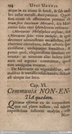 Cap. VI. Communia NON-ENTIA quaedam.