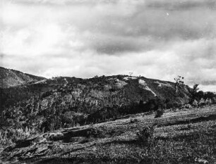 Gebirgslandschaft : Vegetation einer Gebirgslandschaft.