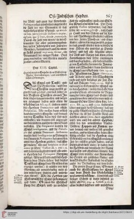 Das XIII. Capitel