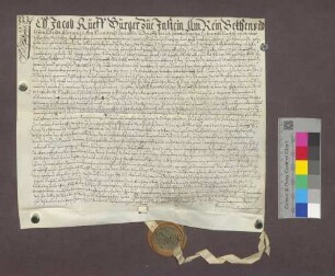 Jakob Ruoff zu Istein verkauft 8 Mannwerk Matten an Hans Christoph Schnek von Castell.