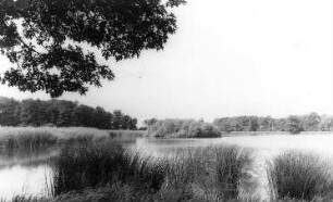 Großdubrau-Kauppa. Teich an der Straße nach Milkel