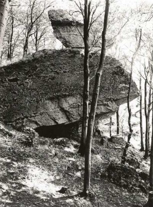 Weser-Leine-Bergland. Der Ith. Lüerdisser Klippen, Lagenverwitterung des Sandsteins