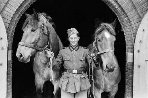 Zweiter Weltkrieg. Niederlande unter deutscher Besatzung. Wehrmachtsangehöriger, zwei Pferde am Zügel aus dem Stall führend (wohl bei Den Haag)