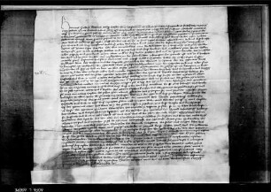 Dekan und Kapitel des Domstifts Konstanz bestätigen die wörtlich aufgenommene Stiftung (WR 7921).