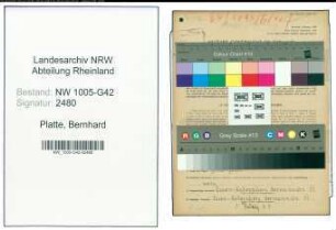 Entnazifizierung Bernhard Platte , geb. 13.09.1912 (Maler)