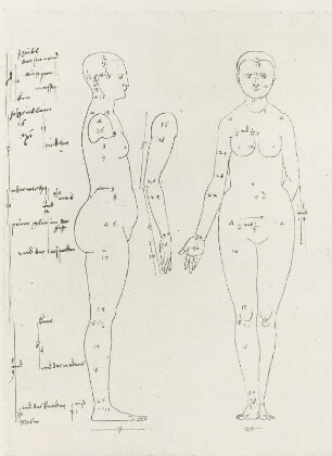 Frau seitlich und von vorn mit Proportionsangaben : Dresdner Skizzenbuch (1507/1528). Frau seitlich und von vorn mit Proportionsangaben (aus: R. Bruck: Das Skizzenbuch von Albrecht Dürer, Straßburg 1905, Tafel 89, Blatt 148r, Str. 69, Kriegsverlust). Dresden: SLUB Mscr.Dresd.R.147.f
