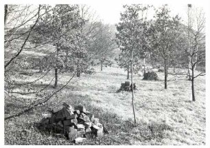 Neckarsulm, HN; Jüdischer Friedhof, Haufen aus zerschlagenen Grabsteinen