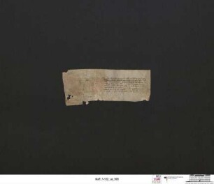 Unbestimmtes Urkundenfragment betreffend die Oberkirche St. Marien