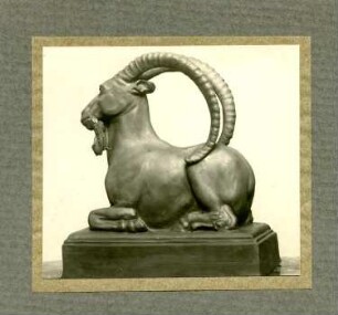 Liegender Steinbock : Liegender Steinbock. Wahrscheinlich Gipsmodell, getönt (um 1910; C. Brose)