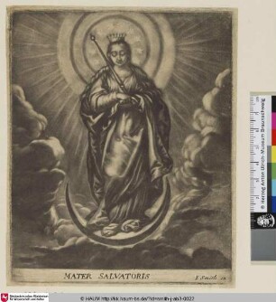 Mater Salvatoris