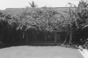 Bungalow : Blick in einen Innenhof eines Gebäudes mit Bäumen