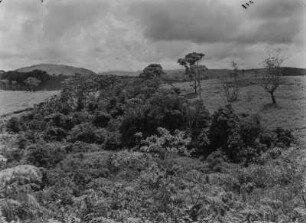 Hügellandschaft : Blick über eine Hügellandschaft in Kenia